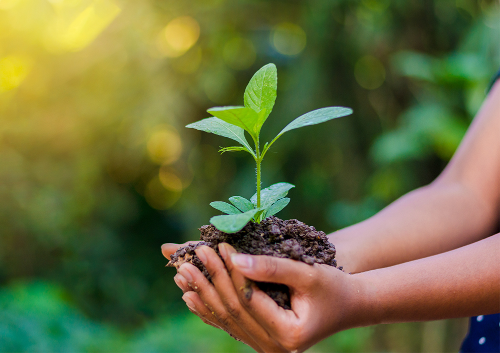 Environnement durable